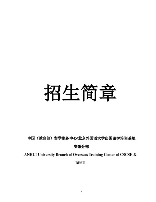 项目概况