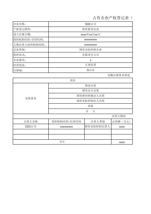 占有企业产权登记表样表