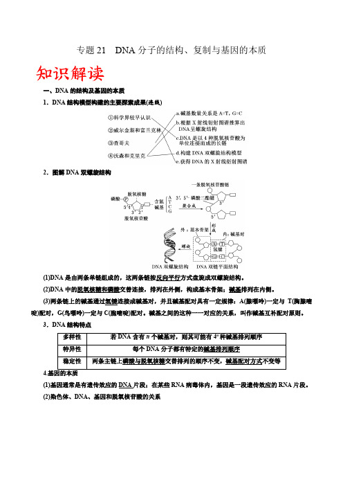 专题21 DNA分子的结构、复制与基因的本质(解析版)