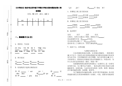 《小学语文》混合考点四年级下学期小学语文期末模拟试卷C卷标准版