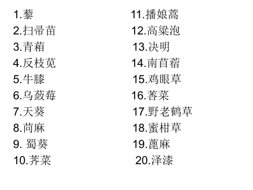 常见野草100种(2)