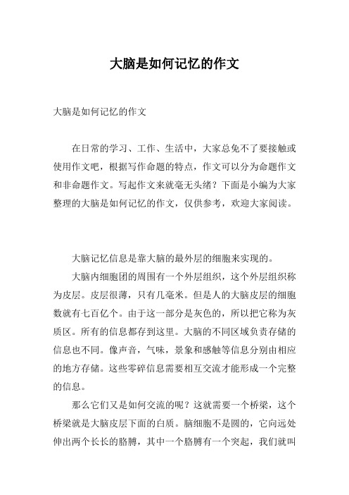 大脑是如何记忆的作文