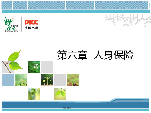 演示模板第六章  人身保险概述.ppt