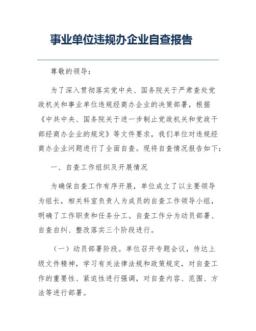 事业单位违规办企业自查报告