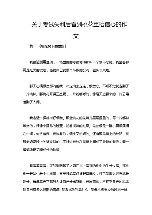 关于考试失利后看到桃花重拾信心的作文