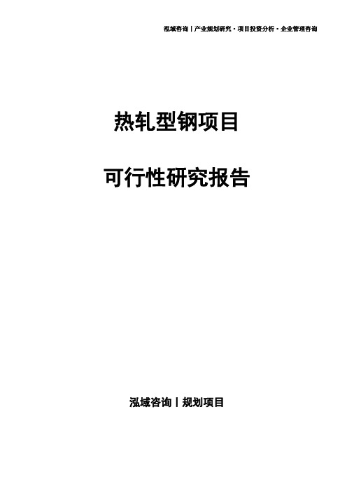 热轧型钢项目可行性研究报告