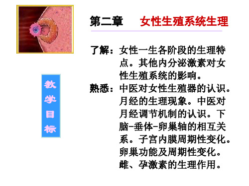 生理学-女性生殖系统生理