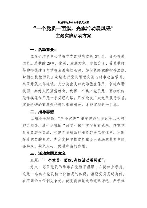 一个党员一面旗主题实践活动方案