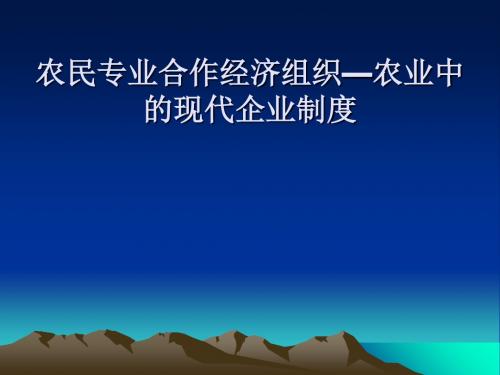 农民专业合作经济组织—农业中现代企业制度(郭亚军)