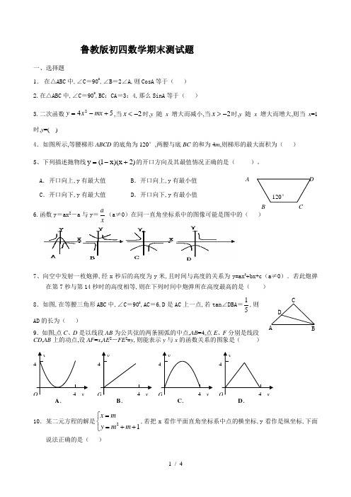 鲁教版初四数学期末测试题