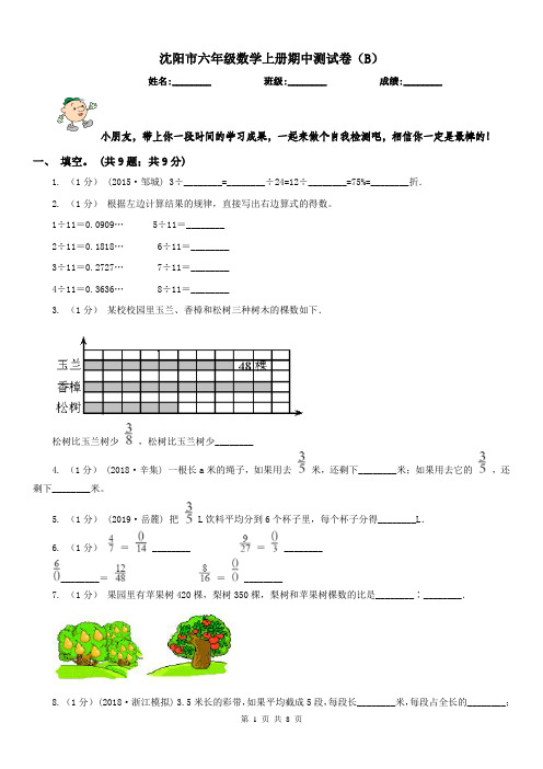 沈阳市六年级数学上册期中测试卷(B)