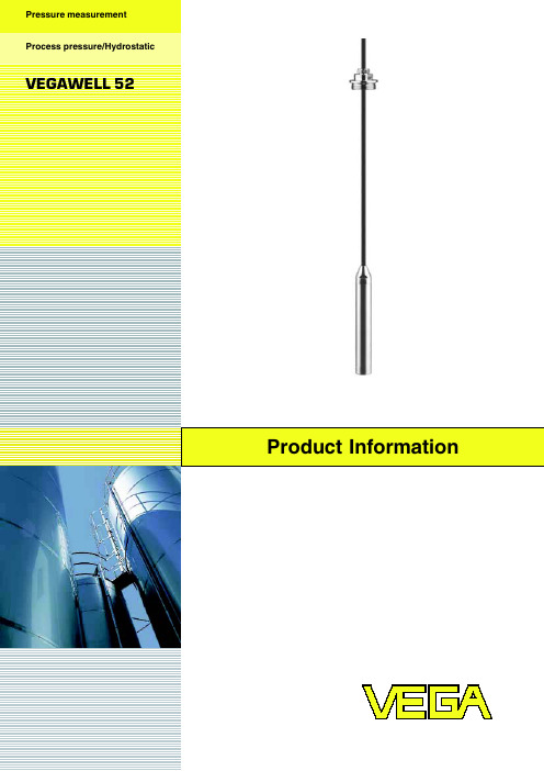 VEGAWELL 52 压力测量仪器说明书
