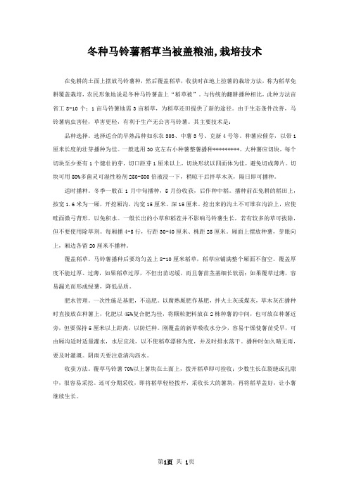 冬种马铃薯稻草当被盖粮油,栽培技术