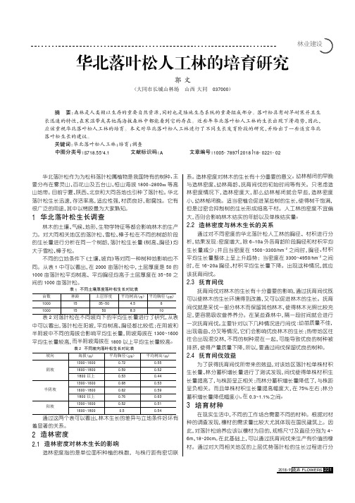 华北落叶松人工林的培育研究