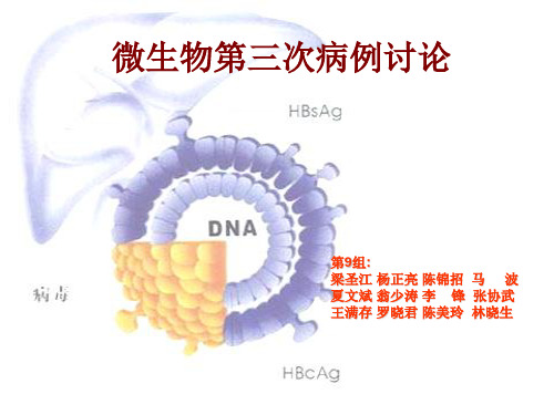 病毒性肝炎病例讨论超级豪华版(绝对赞)