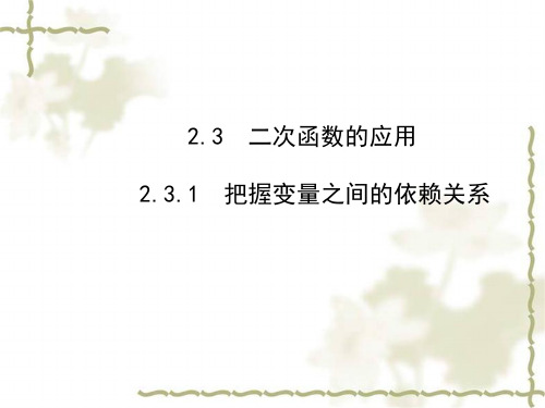 九年级数学下册第2章二次函数2.3二次函数的应用2.3.1把握变量之间