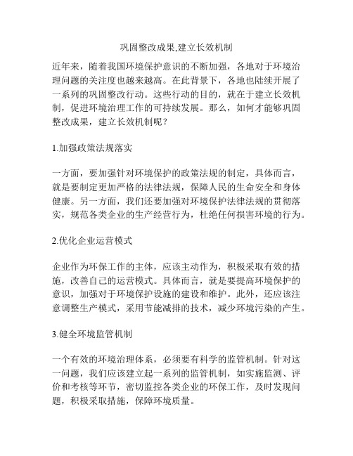 巩固整改成果,建立长效机制