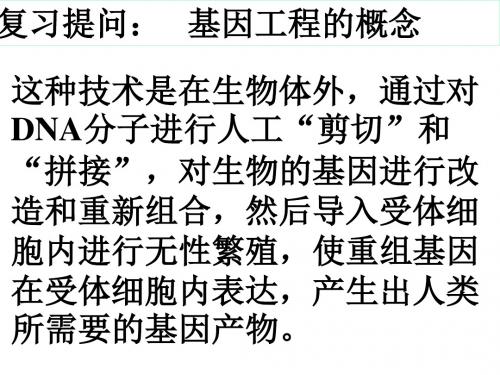 1.2基因工程的基本操作程序