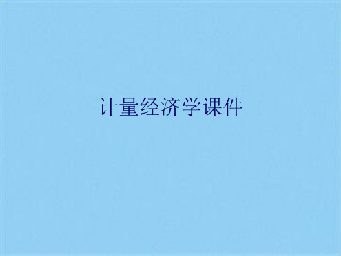 计量经济学(共11张PPT)