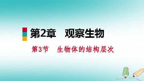 【精品推荐】2020年秋七年级科学上册第2章观察生物第3节生物体的结构层次2.3.3器官和系统课件新版浙教版