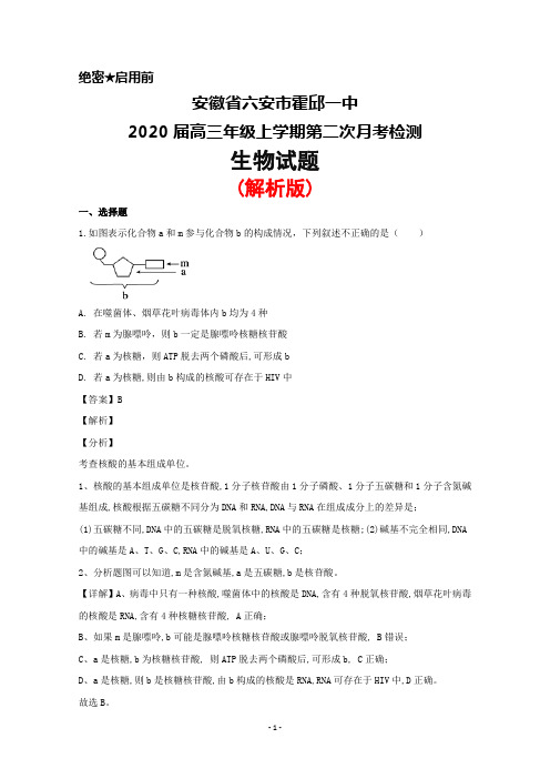 2020届安徽省六安市霍邱一中高三上学期第二次月考生物试题(解析版)