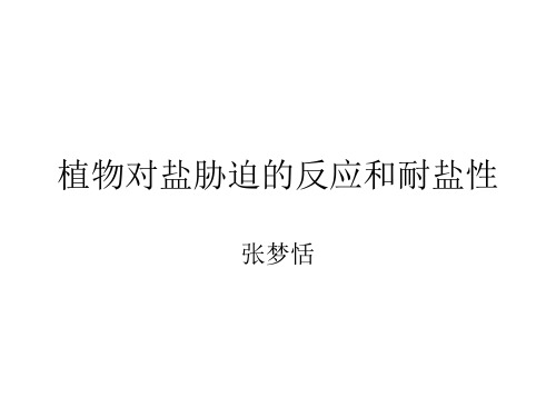 植物对盐胁迫的反应和耐盐性.ppt