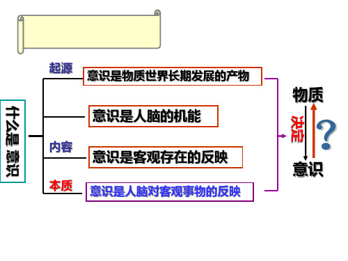 意识的能动作用文科PPT课件