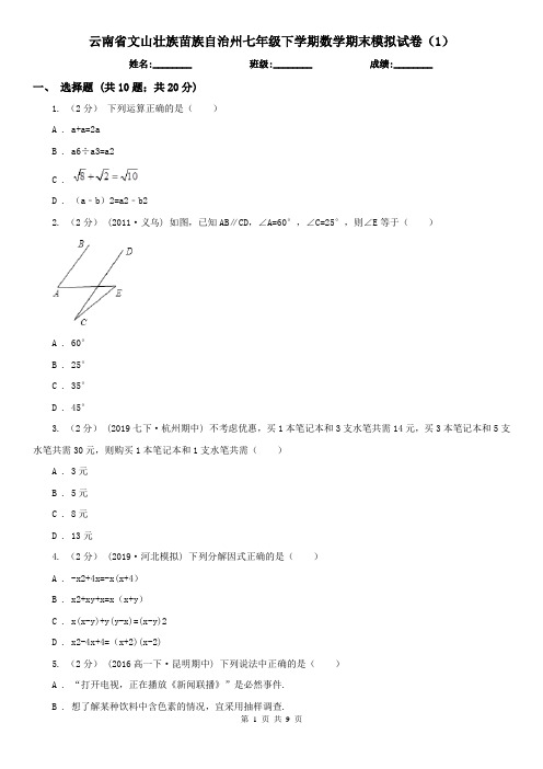 云南省文山壮族苗族自治州七年级下学期数学期末模拟试卷(1)