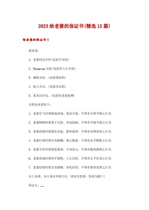 2023给老婆的保证书(精选15篇)