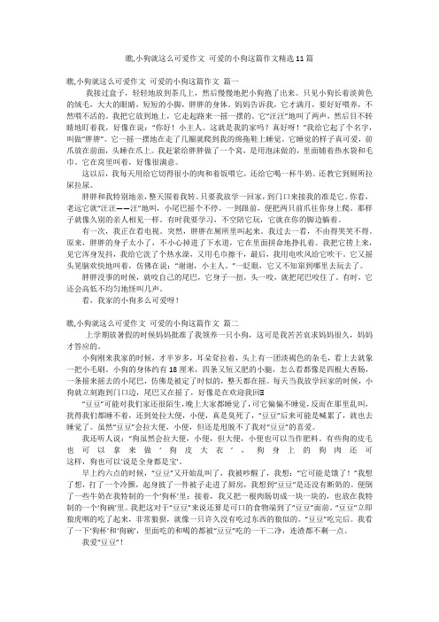 瞧,小狗就这么可爱作文 可爱的小狗这篇作文精选11篇