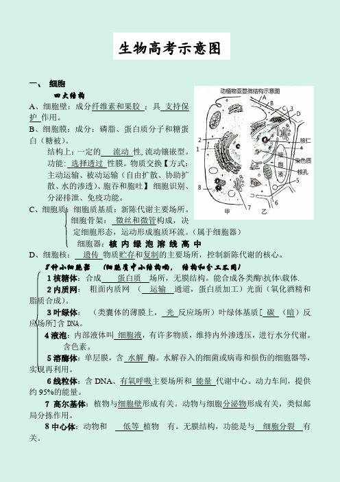 2020年新课标生物高考示意图汇总