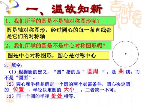 垂直于弦的直径--课件