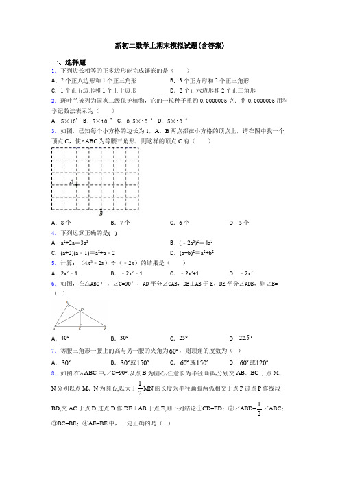 新初二数学上期末模拟试题(含答案)