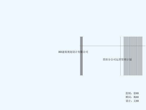 XX分公司运营管理计划