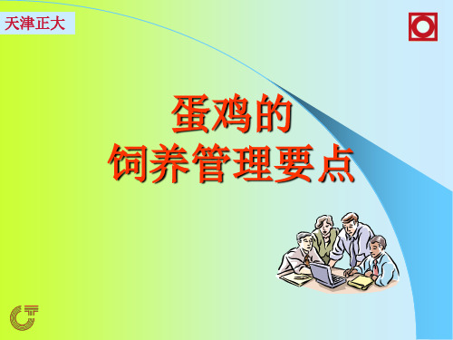 蛋鸡的饲养管理要点.ppt