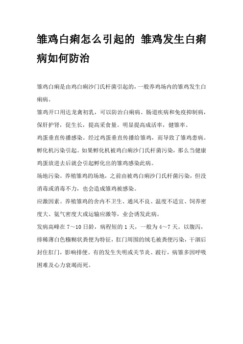 雏鸡白痢怎么引起的 雏鸡发生白痢病如何防治