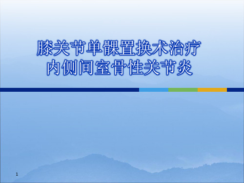 膝关节单髁置换PPT演示课件