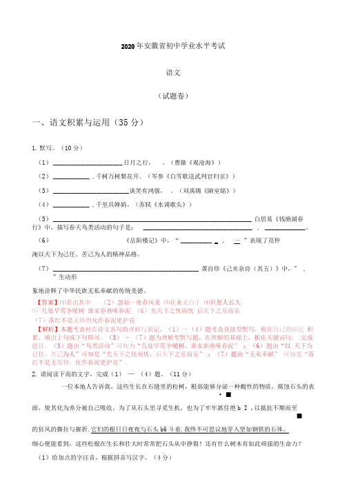 2020年安徽省中考语文试题(含解析)