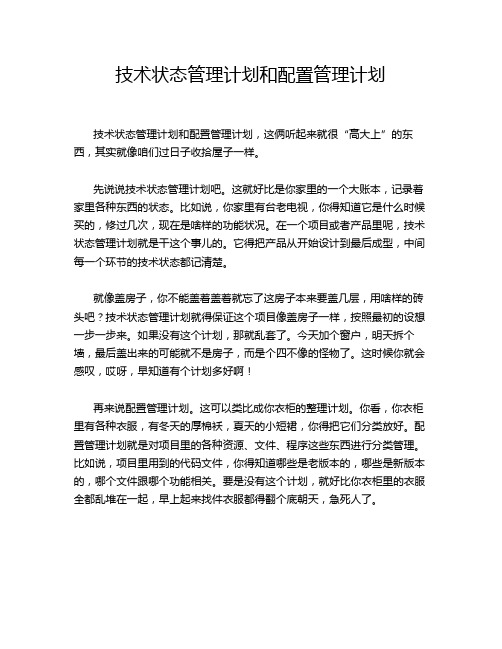 技术状态管理计划和配置管理计划