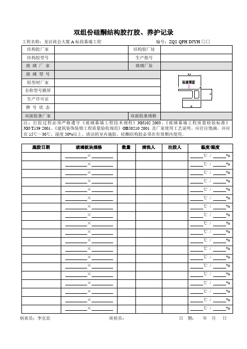 打胶养护记录