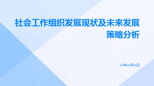 社会工作组织发展现状及未来发展策略分析