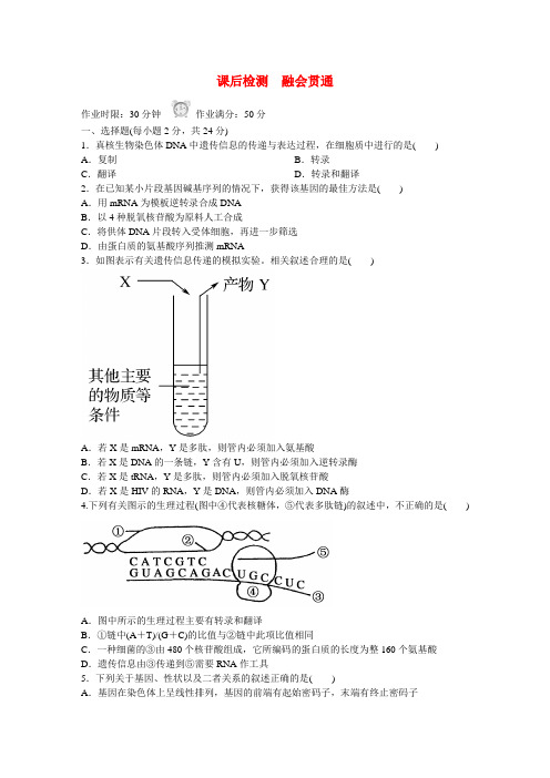 2017-2018学年高中生物 4-2 基因对性状的控制课后检测 新人教版必修2