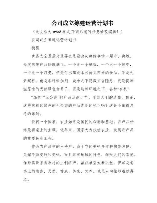 公司成立筹建运营计划书