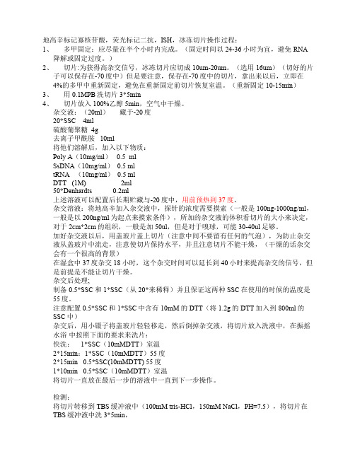 ISHprotocol荧光原位杂交技术实验方案