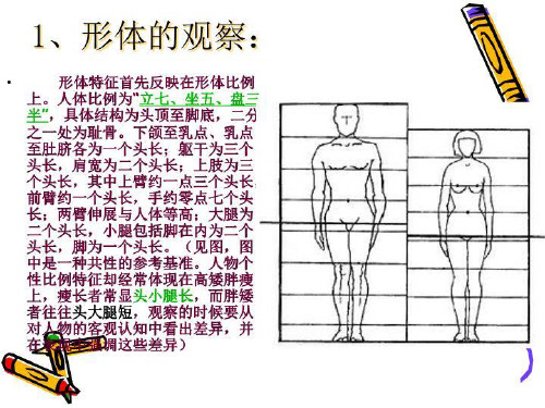 人物速写二ppt课件