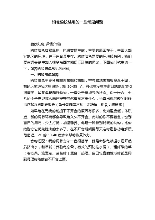 饲养豹纹陆龟的一些常见问题