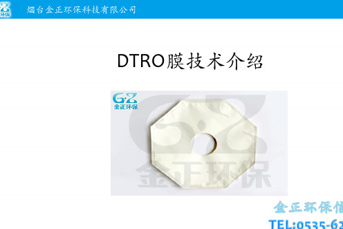 DTRO膜技术介绍 PPT课件