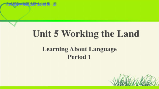 Unit 5 Learning About Language第1课时教学课件英语选择性必修二人教版