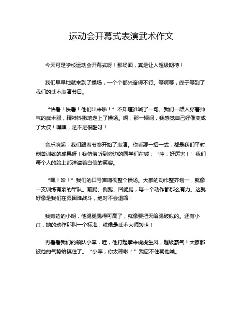 运动会开幕式表演武术作文