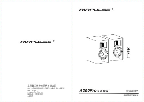 A300Pro有源音箱 使用说明书